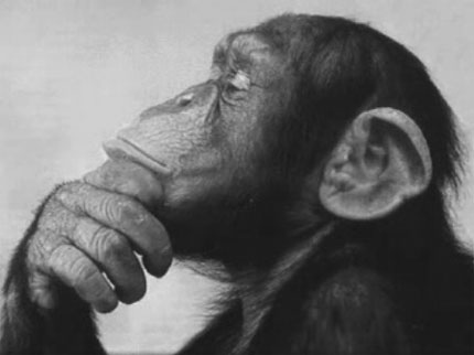 Thinking...